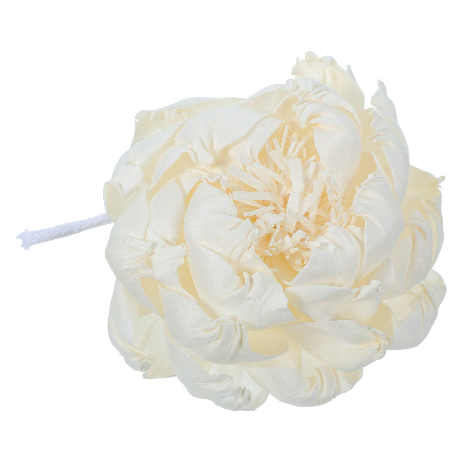 موزع عطر برائحة زهرة الفاونيا  - مراجعة Home Fragrance For Diffuser وسعره