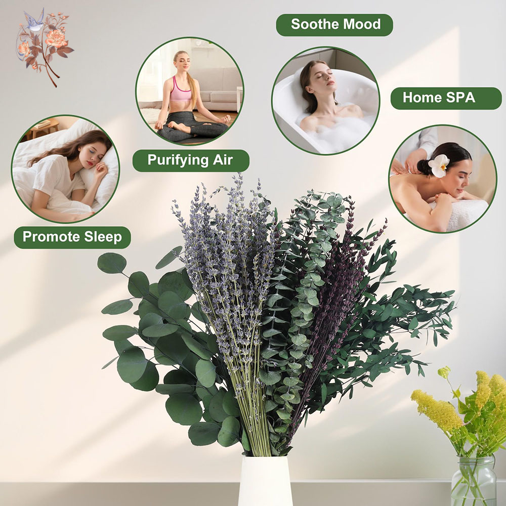 110 قطعة مزيج أوراق الأوكالبتو - مراجعة Home Fragrance Fillers وسعره