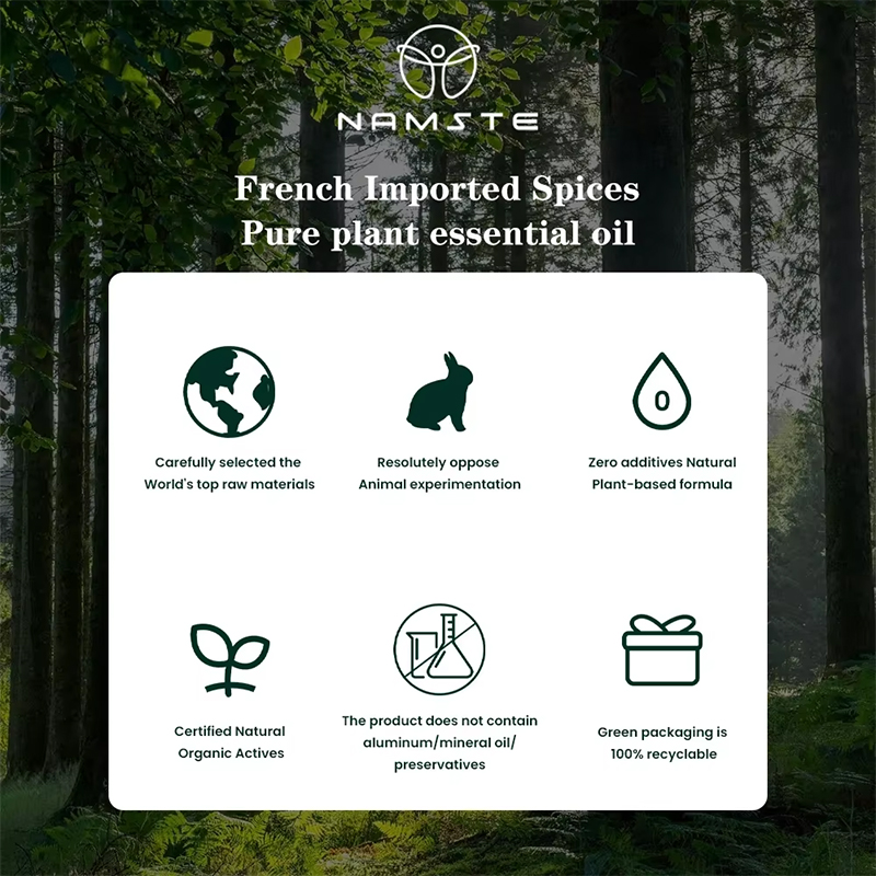 ناشط الروائح الكهربائي NAMASTE - مراجعة Home Fragrance Electric Diffuser وسعره