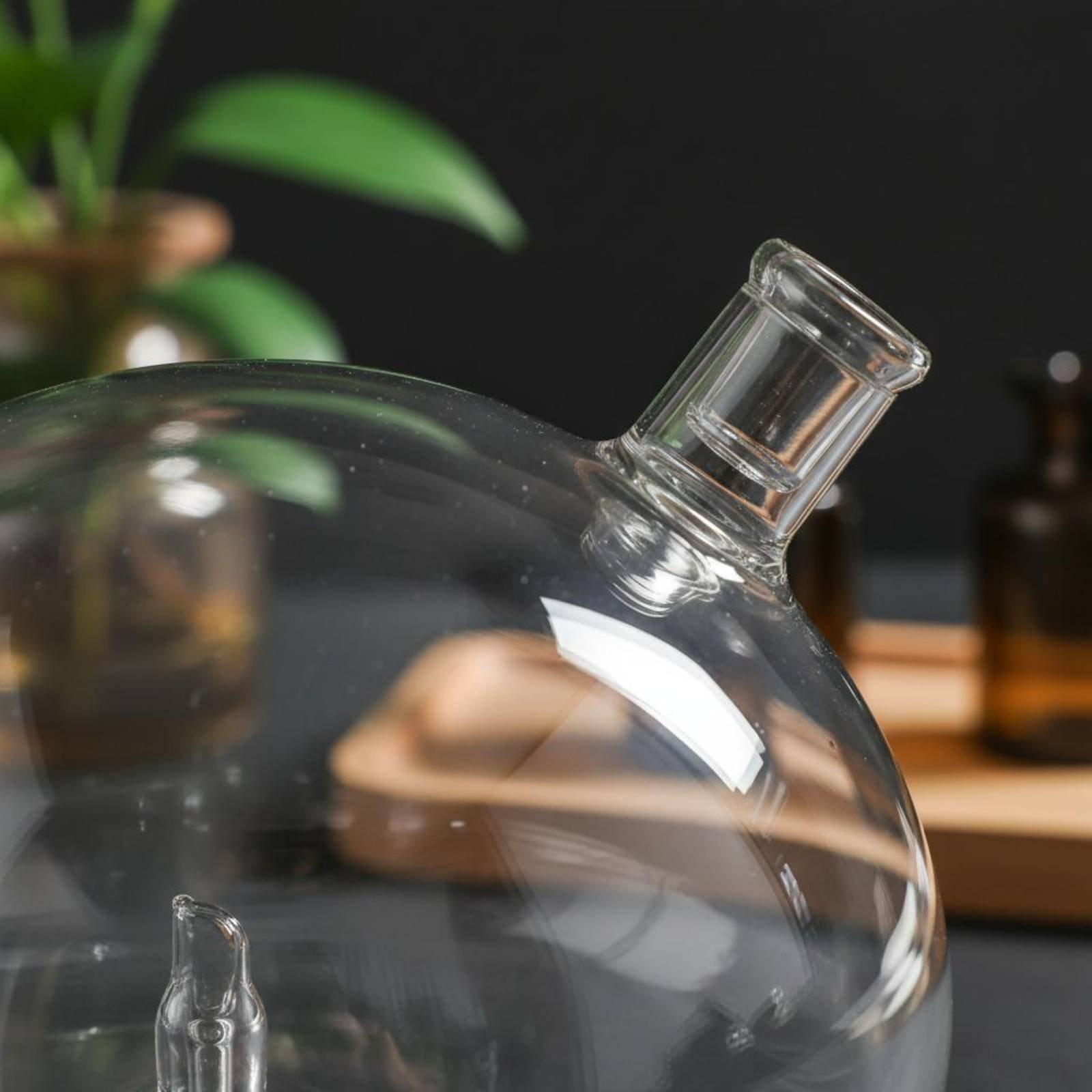 زجاجة ناشر عطر زجاجية بديلة عا - مراجعة Home Fragrance For Diffuser وسعره